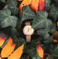 Obaku V146LGGMG