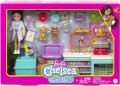 Barbie Chelsea Pet Vet Playset HGT12