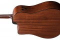 Ibanez AAD440CE
