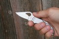 Spyderco Byrd Robin 2 Stainless Plain