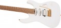 Charvel Pro-Mod DK24 HSS 2PT CM