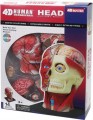 4D Master Head 626103