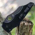 Spyderco Yojumbo C253GBBK