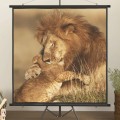 VidaXL Screen 150x155