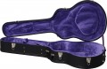 Epiphone J-180 LS