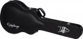 Epiphone Dave Grohl DG-335