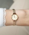 Daniel Wellington Petite DW00100741