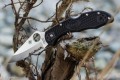 Spyderco Delica 4 PS