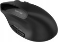 Canyon CNS-CMSW25