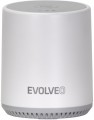Evolveo Detective BT4 Smart