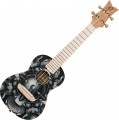 Ortega RUAR-BI