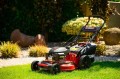 Cedrus KS56S-H