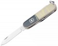 Victorinox Companion Style