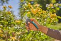 GARDENA PremiumCut 12242-20