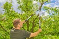 GARDENA TeleCut 650-900 B 12020-20