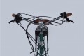 Dorozhnik eRetro Vbr FR 500W 2025