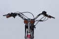 Dorozhnik eRUBY DD FR 500W 2025