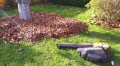 Riwall REBV3200E