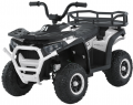 Bambi M6127EBLR