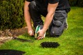 Cedrus C-MOW M10