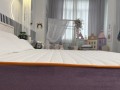 Family Sleep Crocus