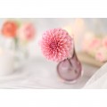 Canon 85mm f/1.4 RF L VCM