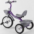 Best Trike BS-4298