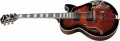 Ibanez AG95QA