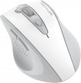 A4Tech Fstyler FG55S Plus