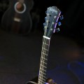 Washburn DFED-U