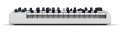 Novation Bass Station II Swifty Edition