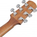 Ibanez AAD51LCE