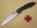 Spyderco Byrd Cara Cara 2 G10