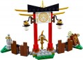 Lego Master Wu Dragon 70734