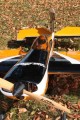 Precision Aerobatics Extra MX Kit