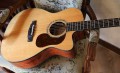 Cort Gold OC6