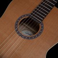 Godin Etude Q1T