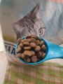 Happy Cat Minkas Junior Care 0.5 kg