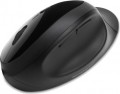 Kensington Pro Fit Ergo Wireless Mouse