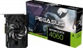 Gainward GeForce RTX 4060 Pegasus