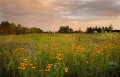 Olympus 7-14mm f/2.8 ED Pro