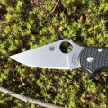 Spyderco Para 3 FRN