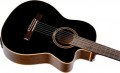 Ortega RCE238SN