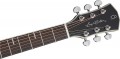 Sire Larry Carlton A4-G