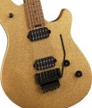 EVH Wolfgang WG Standard