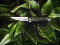 Boker Plus Kwaiken Mini Limited Edition