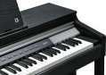 Kurzweil CUP P1