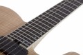 Schecter PT SLS Elite