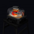 Ninja Foodi Woodfire Pro XL