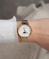 Daniel Wellington Petite Lune DW00100771